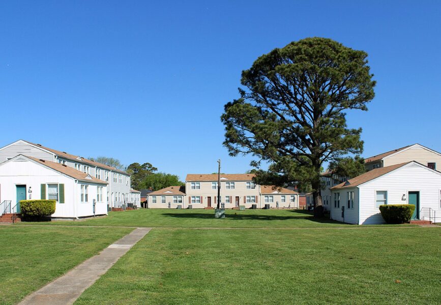 A large tree stands in the center of a grassy area surrounded by several white residential buildings under a clear blue sky.