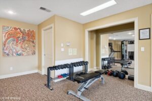 Small home gym with a weight bench, dumbbells, medicine balls, and resistance bands on a carpeted floor. Colorful abstract painting on the wall and large mirror reflecting equipment.