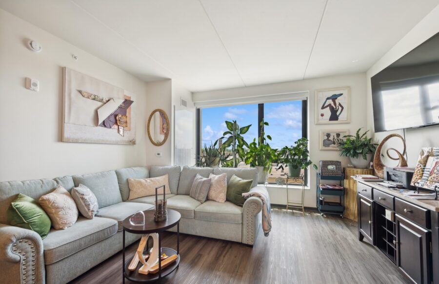 Modern living room with a light gray sectional sofa, decorative pillows, plants by a large window, wall art, and a TV on a dark cabinet. Natural light fills the space.