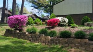 Flowering bushes in pink, red, and white are planted on a sloped garden bed with a retaining wall in front of a house surrounded by trees.