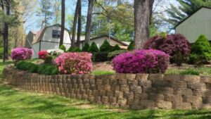 A terraced brick retaining wall with blooming pink, purple, and white azalea bushes in front of houses surrounded by trees.