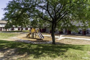 Small playground with a slide and climbing equipment sits under a large tree near apartment buildings on a sunny day.