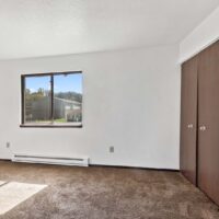 Empty room with white walls, brown carpet, a window showing buildings outside, and a closet with double wooden doors.