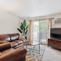 A living room with a brown leather sofa, round coffee table, TV on a wooden stand, large plant, patterned rug, and sliding glass doors with curtains letting in natural light.