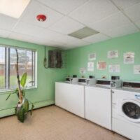 A small laundry room with mint green walls, four white washing machines, wall-mounted instructions, a potted plant, and a window letting in natural light.