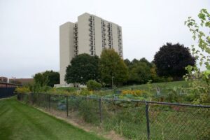 A tall apartment building stands behind a chain-link fence enclosing a community garden with various plants and flowers. Trees are scattered around the green lawn.
