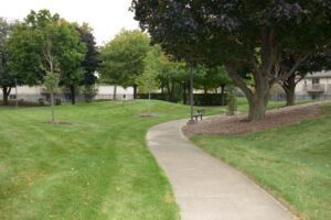 A concrete path curves through a grassy park with trees, a bench, and nearby buildings in the background.