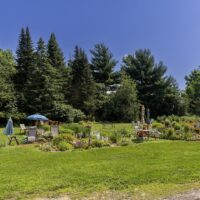 Chairs and umbrellas are arranged in a grassy garden area bordered by trees and flowering plants under a clear blue sky.