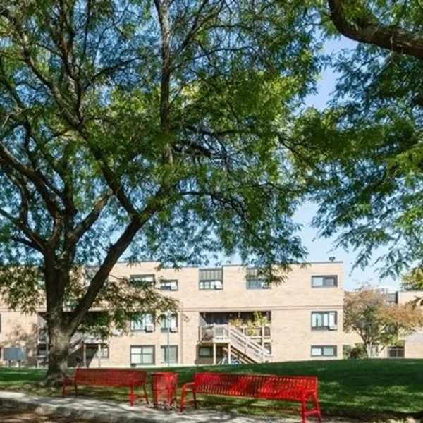Brick apartment buildings behind large leafy trees, with three red benches placed in a shaded grassy area in the foreground under a clear blue sky.