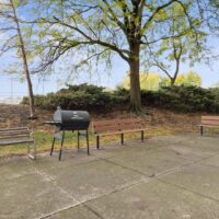 An outdoor scene with two benches and a barbecue grill on a paved area, surrounded by trees and bushes.