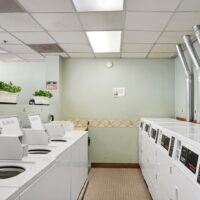 A laundromat room with white washing machines and dryers lined up, green walls, tiled floor, and potted plants on a shelf.