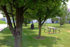 Picnic tables and a grill are placed under shady trees on a grassy area near a building. A trash can is visible in the background.