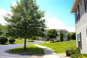A sunny residential area with an apartment building, a tree, manicured lawns, a sidewalk, and a stop sign at an intersection.