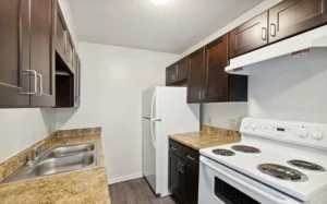 A small kitchen with dark cabinets, white appliances including a stove and refrigerator, double sink, and brown countertops under bright overhead lighting.