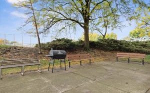 Three benches and a black barbecue grill are arranged on a paved area outdoors near a tree and shrubbery, with a chain-link fence in the background.