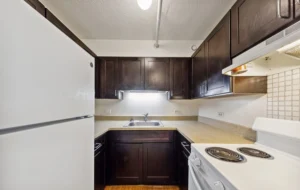 Small kitchen with dark cabinets, white refrigerator and stove, beige countertops, and a single-basin sink under bright overhead lighting.