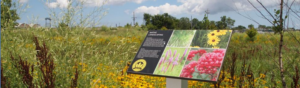 An informational sign about native landscaping stands in a field of wildflowers and tall grasses under a partly cloudy sky.