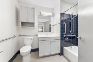 Accessible bathroom with white walls, blue tile accents, grab bars, a toilet, vanity with mirror, and a shower with a handheld showerhead.
