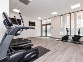 A gym room featuring two elliptical machines and a recumbent exercise bike on a wood-look floor, with glass doors and windows.
